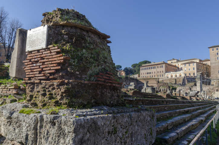 41 - Italia - Roma - Foro Romano - basilica Julia